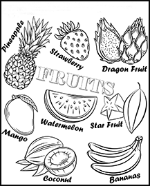 Drawing of a pineapple, strawberry, dragon fruit, watermelon, star fruit, mango, coconut, and banana 