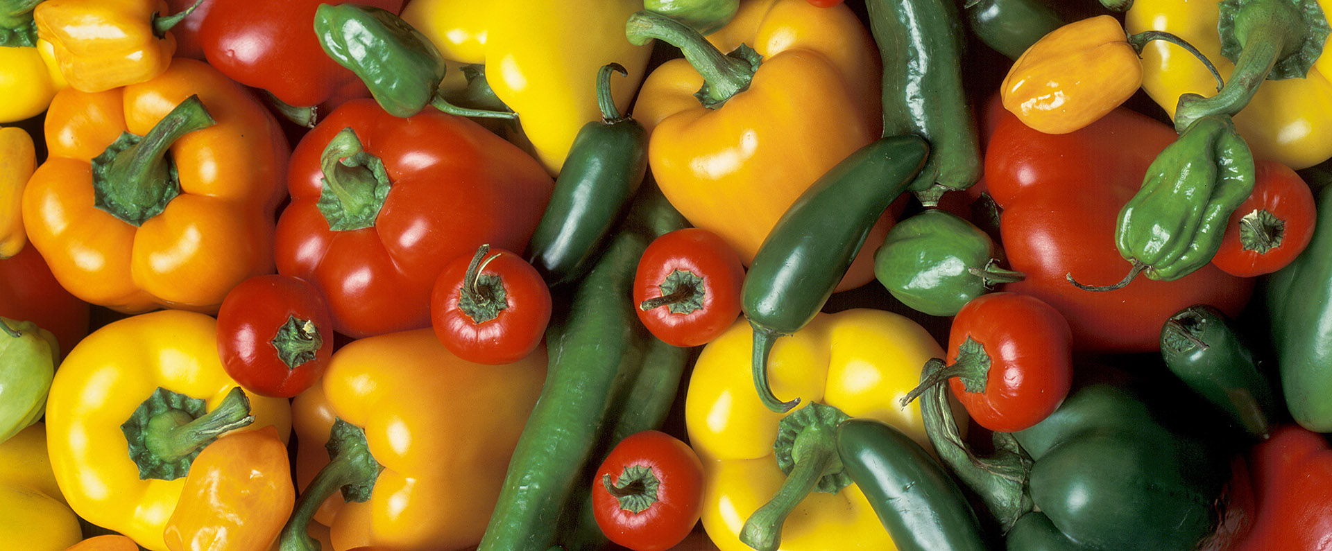 A variety of red, green and yellow peppers