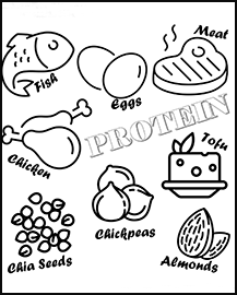 A drawing of fish, eggs, chicken, chia seeds, almonds, tofu and a steak.