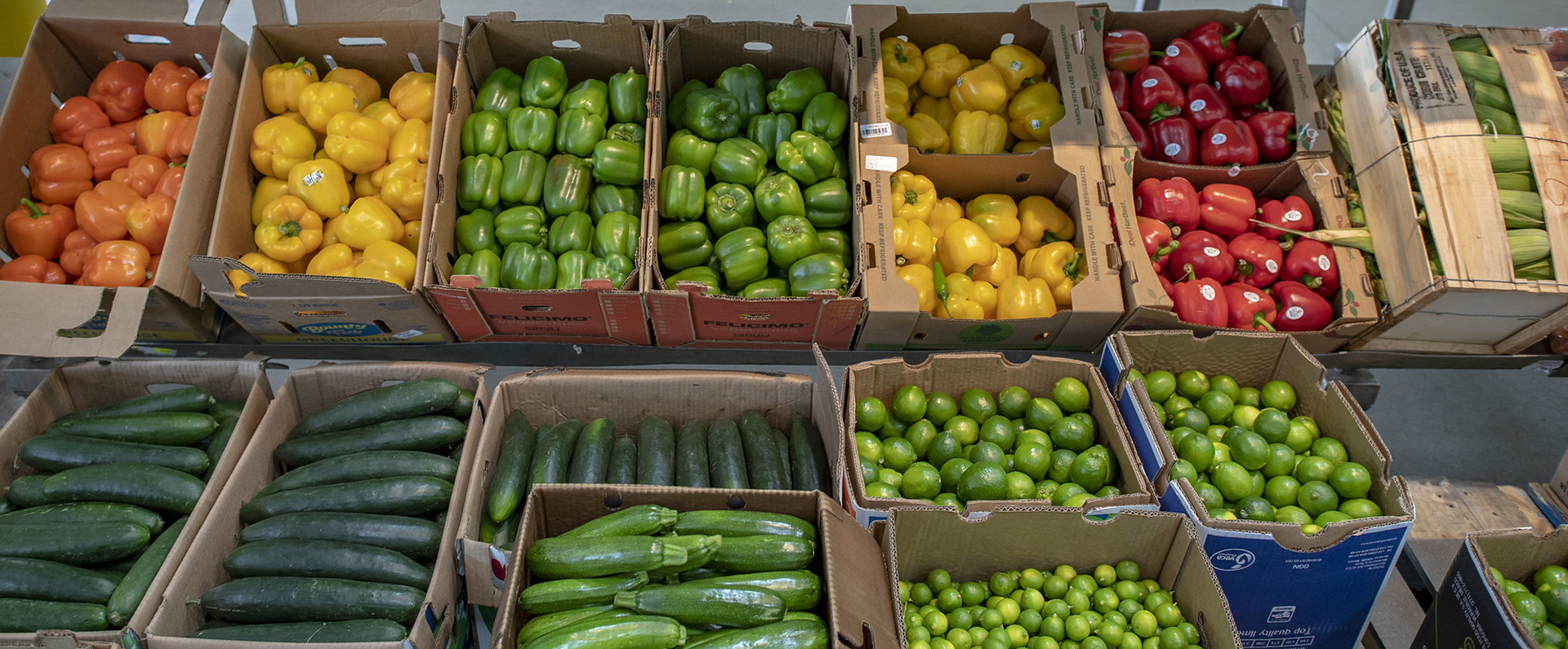 Boxes of cucumbers, orange peppers, green peppers, red peppers and zucchini. 
