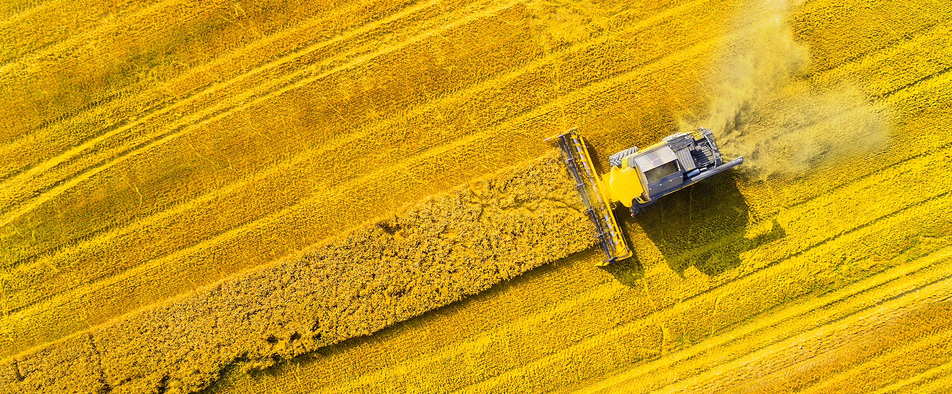 A tractor on a yellow field of canola with the text "Sustainability" 