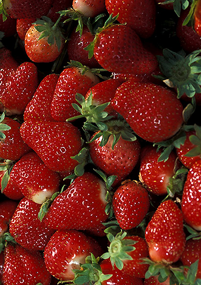 A bunch of fresh strawberries