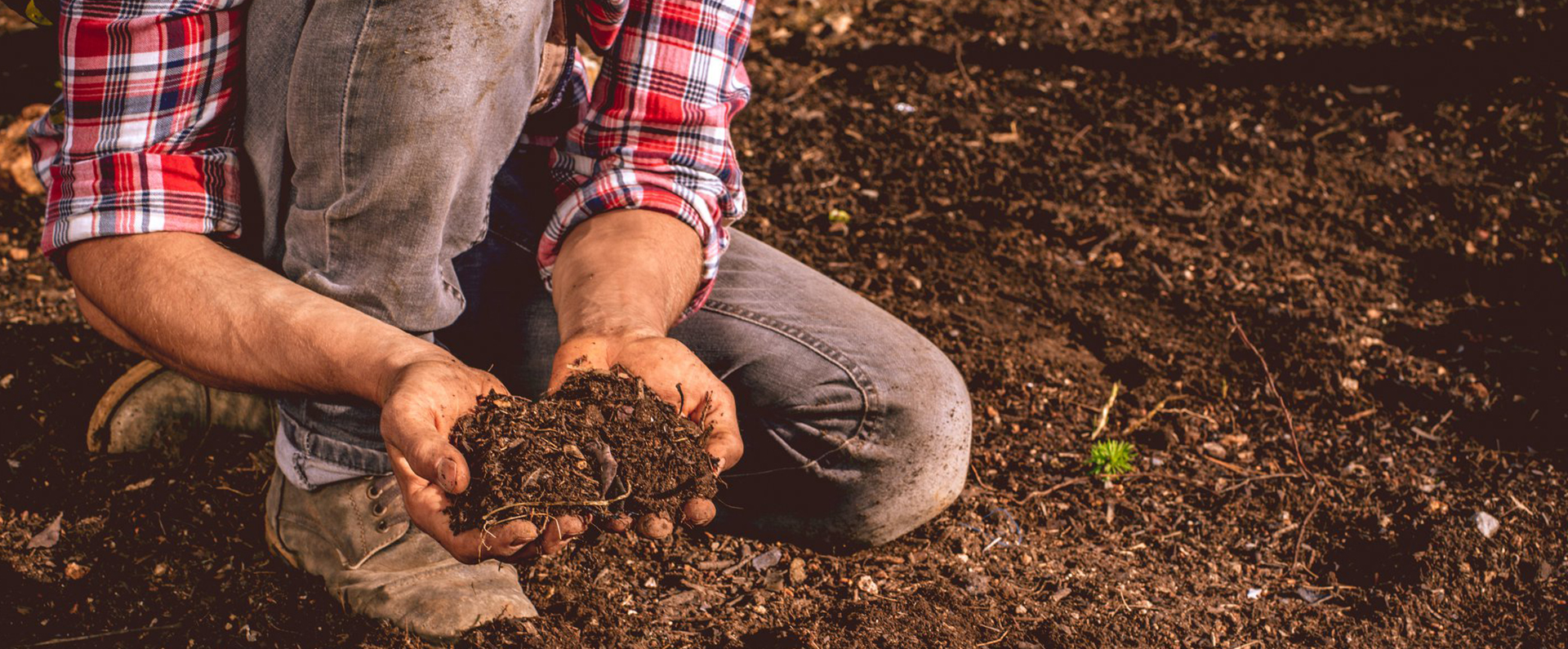 A person kneeling on the ground holding a handful of soil. 