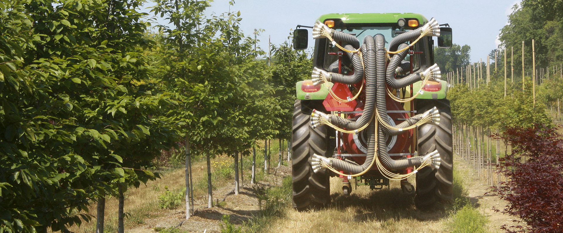 Precision sprayer in an orchard