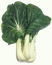 Bok Choy