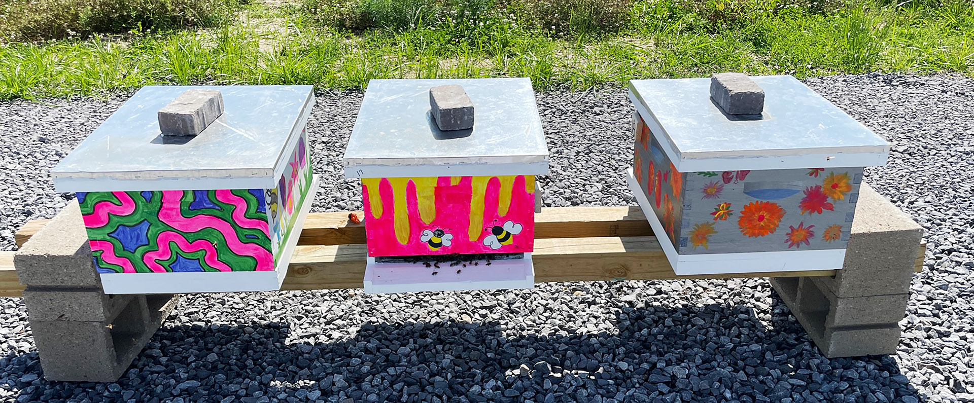 Decorated bee boxes