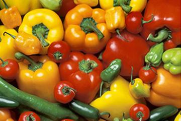 A variety of colorful peppers