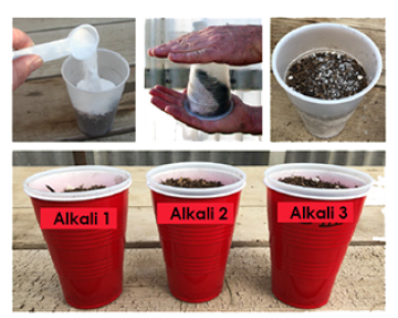 Baking soda being added to cups