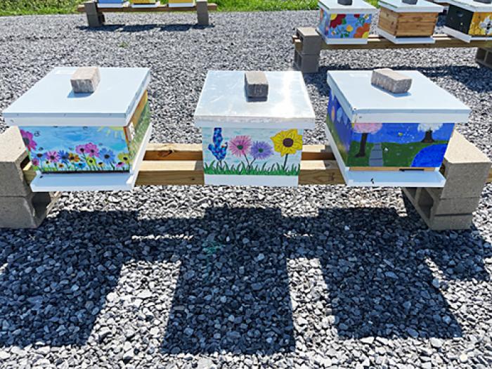 Three painted bee boxes sitting outside