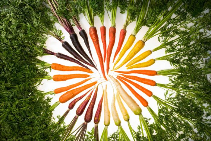 Red, purple, yellow and orange whole carrots