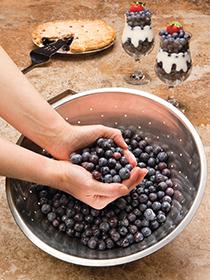 Two hands holding blueberries over a stainless stain bowl filled with blueberries. Two blueberry parfaits and blueberry pie are in the background.