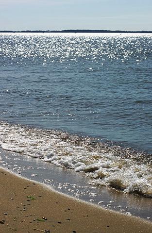 The Chesapeake Bay shoreline