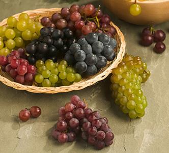 Grapes image