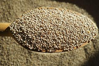 Chia seeds