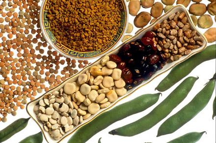 Legumes. Lentils, fenugreek seeds, fava beans, tepary beans, scarlet runner beans, lupini beans, tarwi beans, fava bean pods