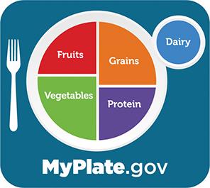 Building a healthy plate