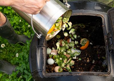 Food scrapes being tossed into a composter. 