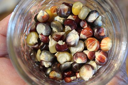 A dish of seeds