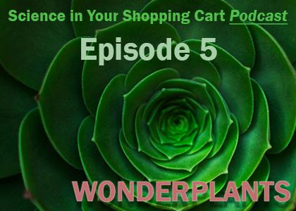 Wonderplants A green plant with the text "Episode 5: Wonderplants" overlaying it.