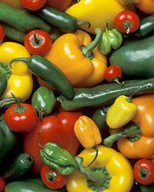 K9774 10 A variety of red, green and yellow peppers