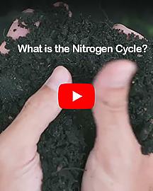 Nitrogencyclecard image