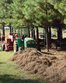 Agroforestry Farm equipment moving along a tree line.