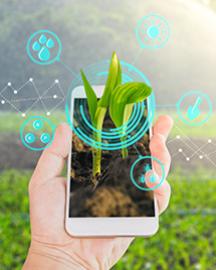 A hand holding a smartphone surrounded by blue icons of a sun, rain and shovel and a green field in the background. Links to a page with information on mobile apps developed by ARS scientists. 
