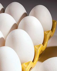 Eggproduction image