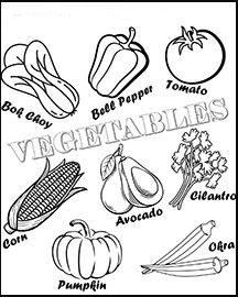 A drawing of bok choy, a tomato, a bell pepper, corn, avocado, cilantro, okra and a pumpkin