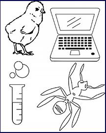 Illustration of chick, laptop, ant and a test tube
