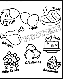 A drawing of fish, eggs, chicken, chia seeds, almonds, tofu and a steak.