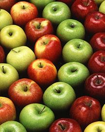 A variety of red and green apples