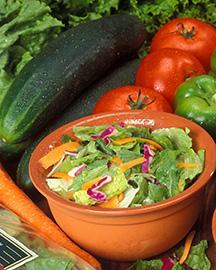 A bowl of salad--fresh tomatoes, cucumbers and green peppers surround the bowl 