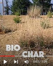 Biochar Video screensot of vegetation growing in depleted soil overlayed with the text "Biochar"