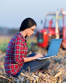 A female in a plaid shirt and jeans sitting on a bale of hay while using a laptop