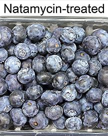 Blueberries treated with natamycin