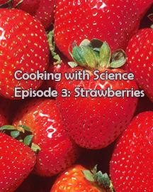 Cooking with Science Strawberries 