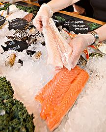 Fillets of fresh salmon.