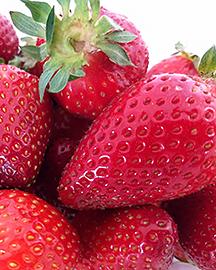 Lumina strawberries.
