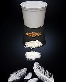 Shredded chicken feathers, powdered chicken feathers, chicken feathers converted to pellets and a biodegradable pot made from the feathers with an injection molder.