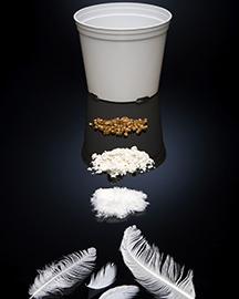 D1480-1 Shredded chicken feathers, powdered chicken feathers, chicken feathers converted to pellets and a biodegradable pot made from the feathers with an injection molder.
