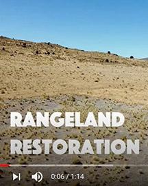 Rangelandrestoration Rangeland
