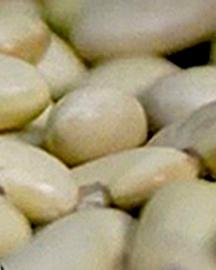 Manteca yellow beans