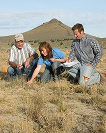 Three scientists looking at plants on rangeland