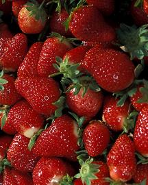 A bunch of fresh strawberries