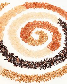 Swirls of different color rice