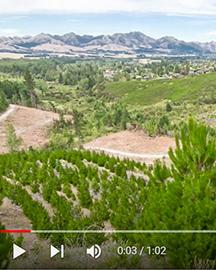 Mountains, fields and trees