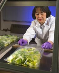 Food technologist Yaguang Luo prepares to seal romaine lettuce.