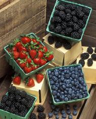 Boxes of strawberries, blueberries and blackberries