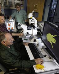 Scientists using a laser-scanning confocal microscope to make 3D images.